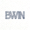 bwin必赢官方网站品牌logo白色版本，用于页脚展示